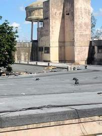 img0
