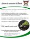 Curso de Iniciacion al Bonsai